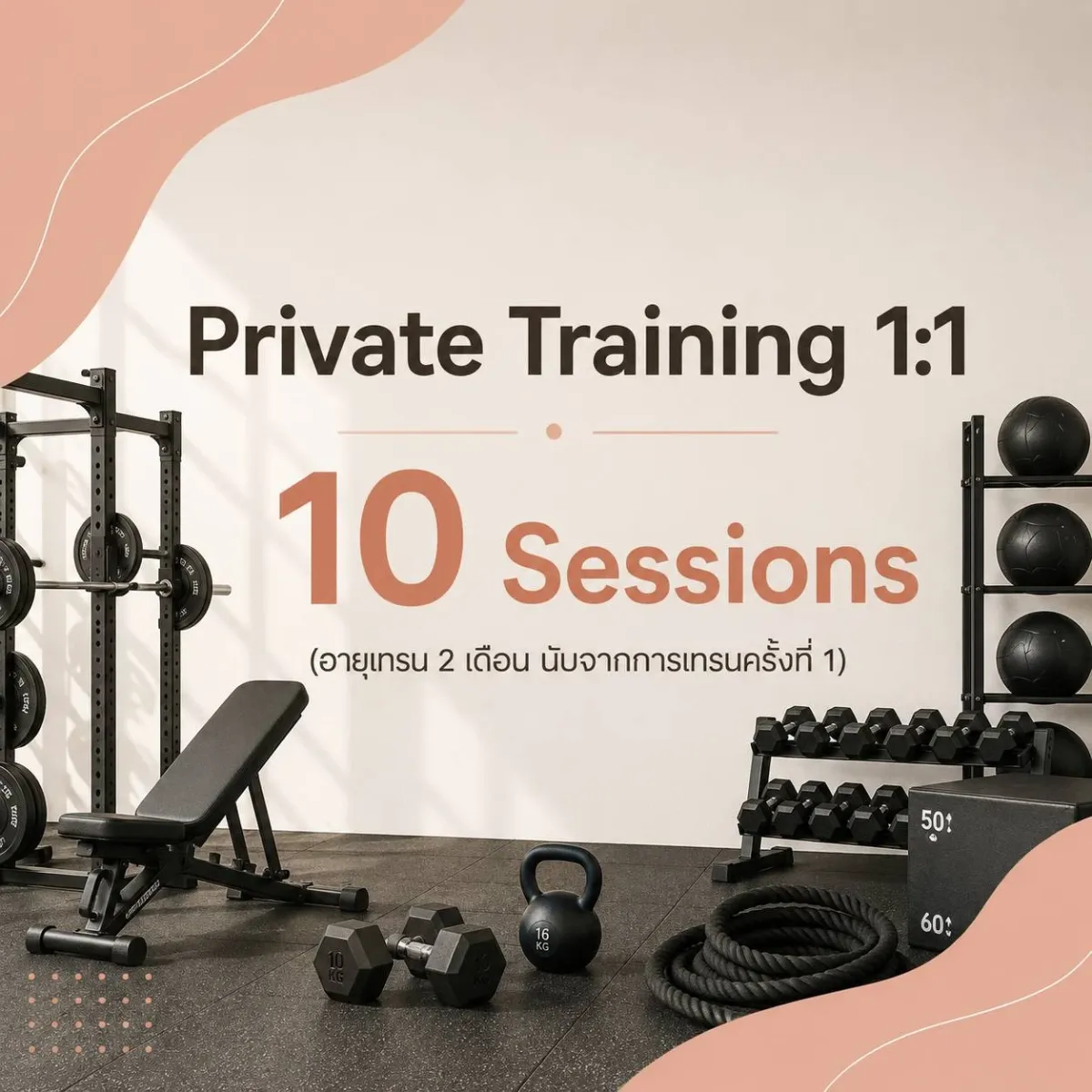 Private Training 1:1  (10  Sessions)