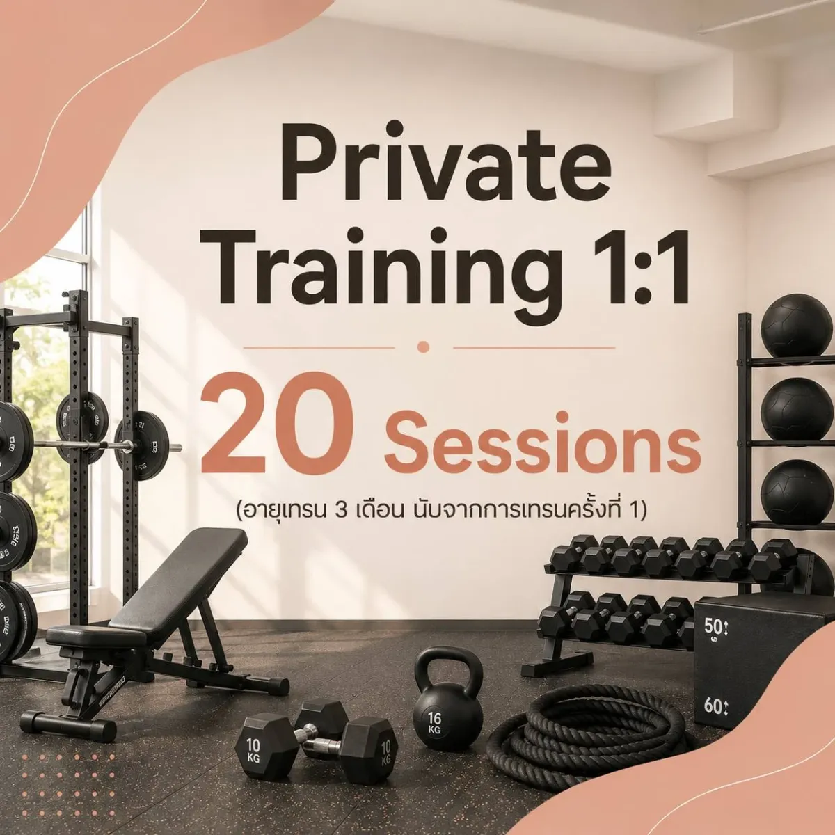 Private Training 1:1  (20  Sessions)