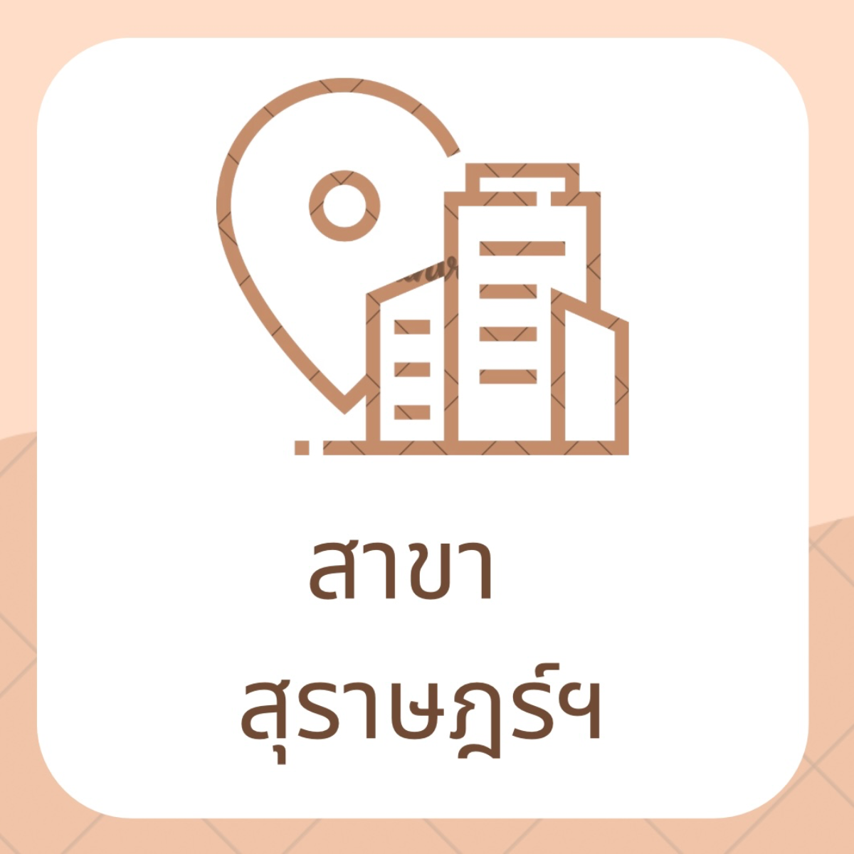 สาขาสุราษฎร์ธานี